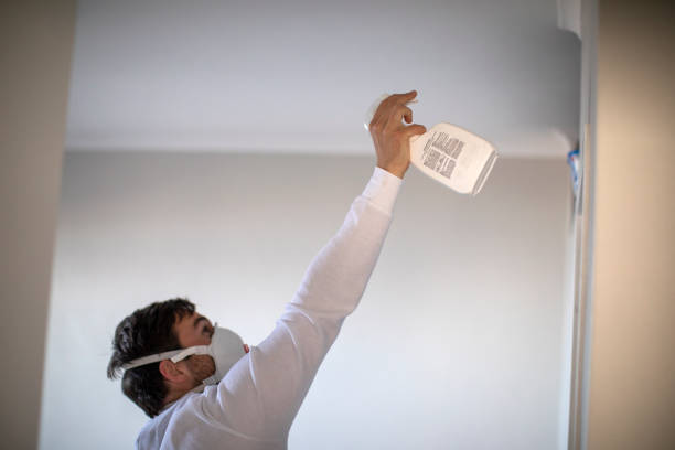 Best Professional Mold Removal  in Sheldon, IL